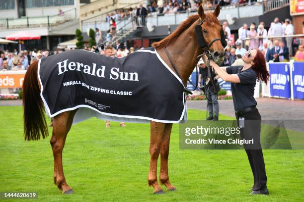 Vow And Declare after winning Race 7, the Herald Sun Zipping Classic, during Melbourne Racing at Caulfield Racecourse on November 26, 2022 in...