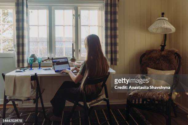 a woman working by laptop in the cozy authentic room with her dog relaxing in the chair - dog breeds stockfoto's en -beelden