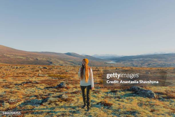 a woman contemplating the sunny day hiking in the mountains of norway - trøndelag stock pictures, royalty-free photos & images