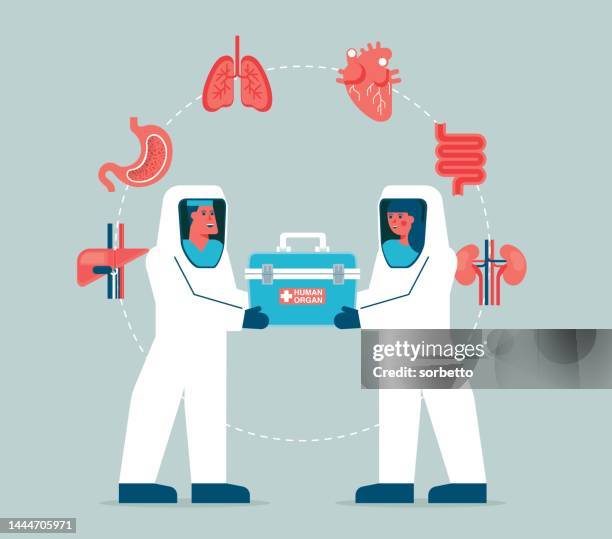 surgeon with organ donation - kidney donation stock illustrations