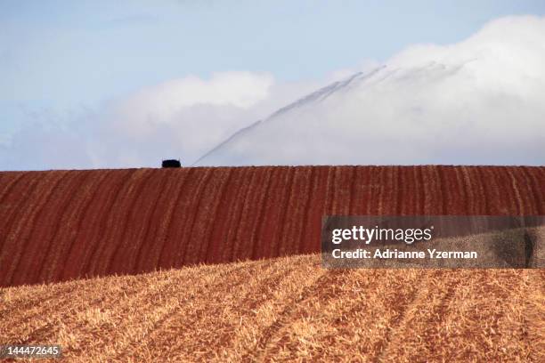 irrigation of ploughed field - agricultural machinery stock pictures, royalty-free photos & images