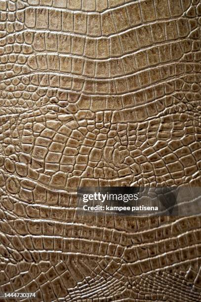 textured background of genuine leather in crocodile skin pattern - krokodillenfamilie stockfoto's en -beelden