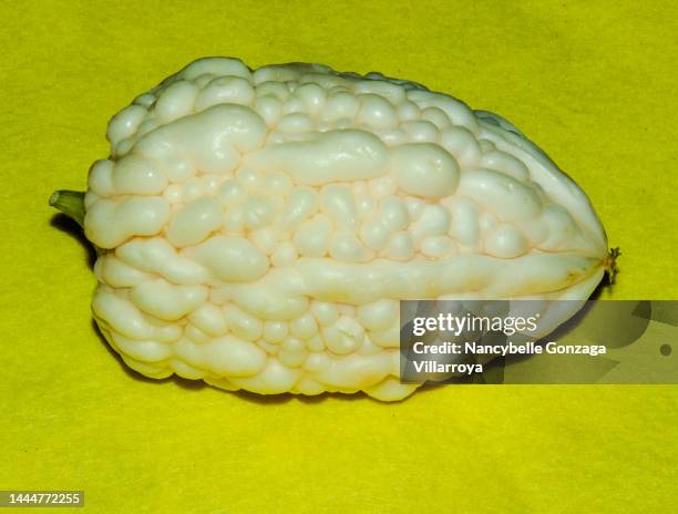 close up of a  white bitter gourd - unpleasant taste stock pictures, royalty-free photos & images