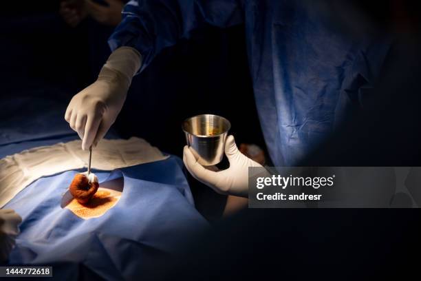 doctor in surgery sterilizing an area with iodine - iodine stock pictures, royalty-free photos & images