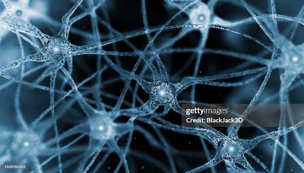 Neurons. Microscope Slide Concept.