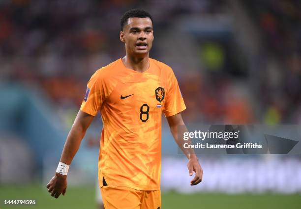 Cody Gakpo of Netherlands looks on during the FIFA World Cup Qatar 2022 Group A match between Netherlands and Ecuador at Khalifa International...