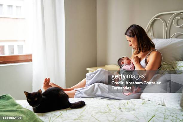 mother breastfeeding a newborn child on a bed next to a cat - monoparental stock-fotos und bilder