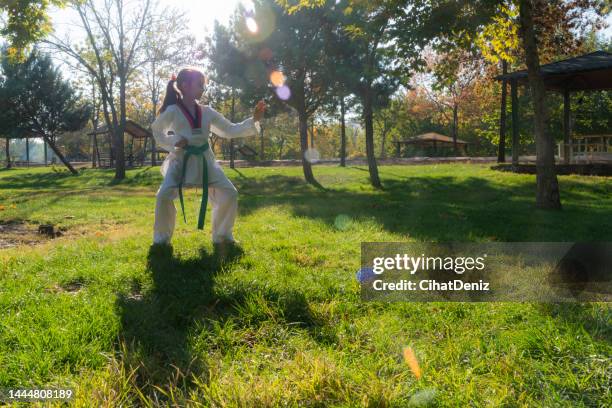 公共公園の芝生でテコンドーのトレーニングをする女の子 - karate girl ストックフォトと画像