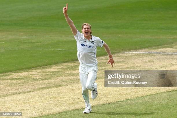 Will Sutherland of Victoria celebrates getting the wicket of Ben McDermott of Tasmania during the Sheffield Shield match between Victoria and...