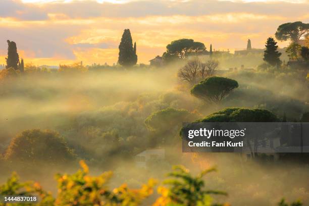 paysage viticole toscan avec brouillard de drone - passion fruit photos et images de collection