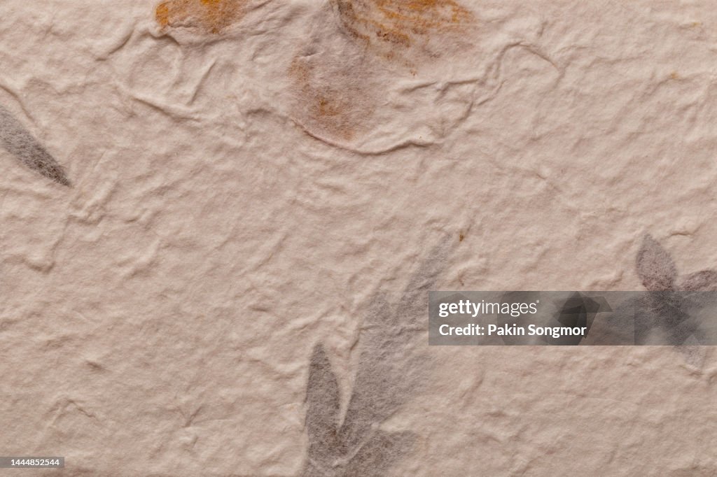 Muberry Paper Mulberry Paper Texture Background In Closeup High-Res Stock Photo ...