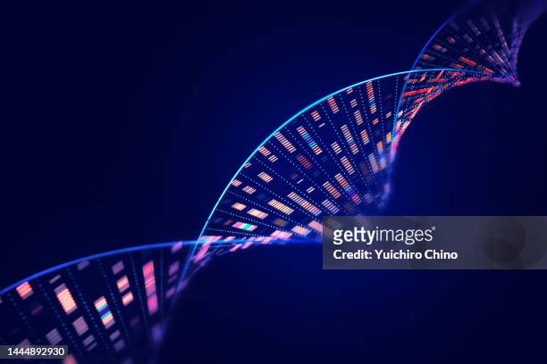 human genome analysis dna molecular structure - helix stock-fotos und bilder