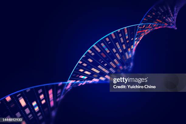 human genome analysis dna molecular structure - medical test stockfoto's en -beelden