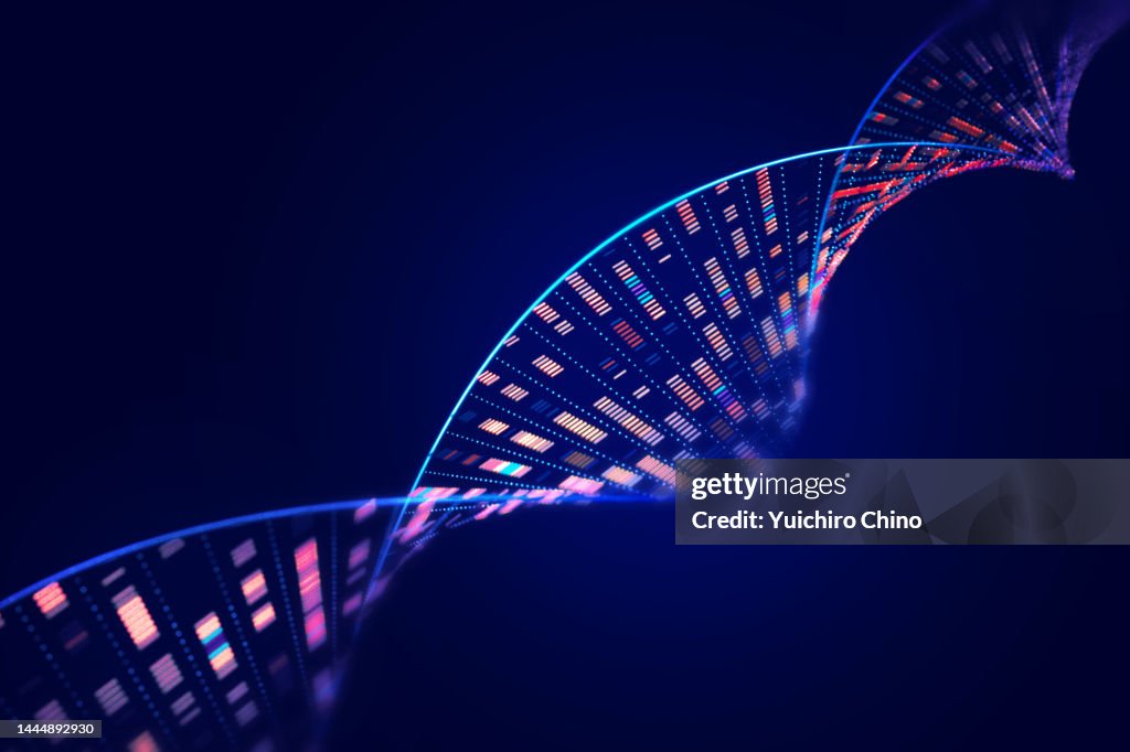 Human genome analysis DNA molecular structure