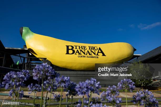 General view of the Big Banana on November 25, 2022 in Coffs Harbour, Australia. As spring gives way to summer on Australia's east coast, many areas...