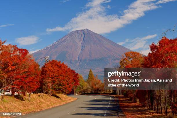 autumn leaf color and mt. fuji, view from lake tanuki and its vicinity - 紅葉 ストックフォトと画像