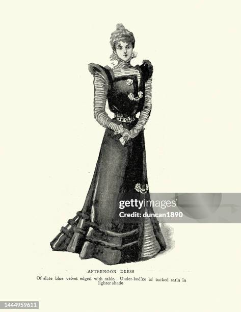 victorian women's fashions of 1890s, afternoon dress, blue velvet edged with sable, 19th century - fashion illustration stock illustrations