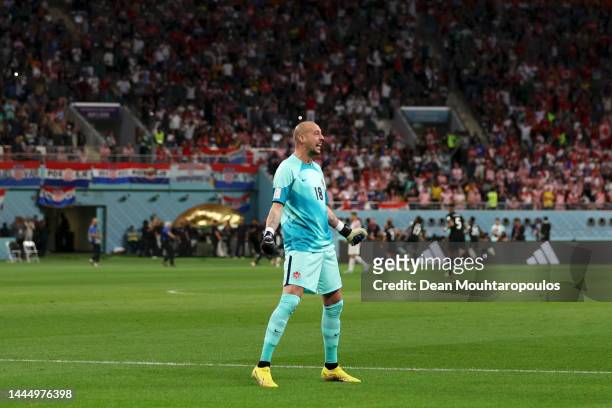 Milan Borjan of Canada celebrates his side's first goal scored by Alphonso Davies during the FIFA World Cup Qatar 2022 Group F match between Croatia...