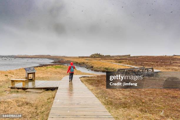 l'anse aux meadows national historic site, newfoundland and labrador, canada - newfoundland and labrador stock pictures, royalty-free photos & images