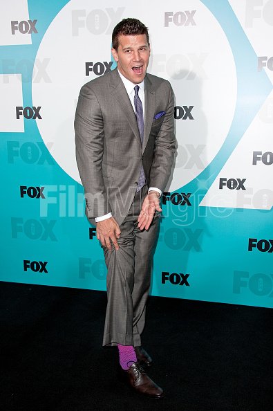 David Boreanaz attends the Fox...