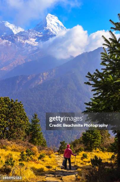view of the annapurna range of mountains from poon hill, ghorepani village, nepal - annapurna circuit stockfoto's en -beelden