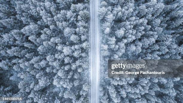 top down aerial photo of road through the forest covered in snow - laponia sueca fotografías e imágenes de stock