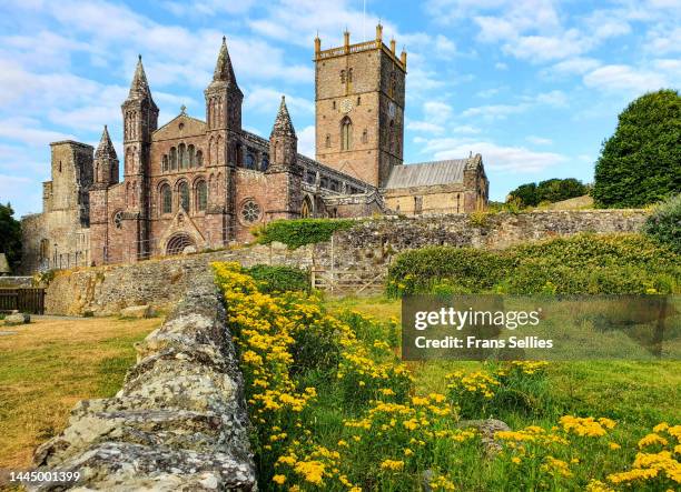 st davids cathedral, st davids, wales, united kingdom - país de gales imagens e fotografias de stock