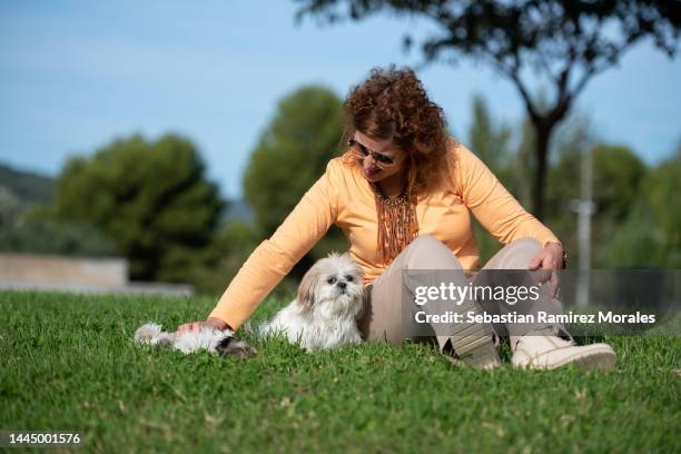 141 Shih Tzu Hair Styles Photos and Premium High Res Pictures - Getty Images 141 Shih Tzu Hair Styles Photos and Premium High Res Pictures - Getty Images