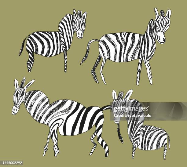 Zebra Rajz 324 Zebra Drawings Stock Photos, High-Res Pictures, and Images - Getty ...