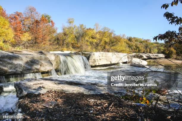 mckinney falls state park fall foliage - parco statale foto e immagini stock