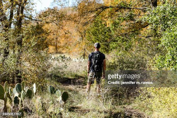 hiker at mckinney falls state park with fall color - hill country stock pictures, royalty-free photos & images