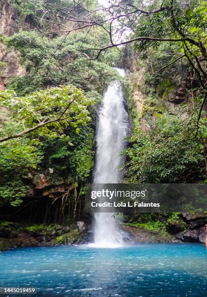 oropendola waterfall at rincón de la vieja national park, costa rica - costa rica forest stock pictures, royalty-free photos & images