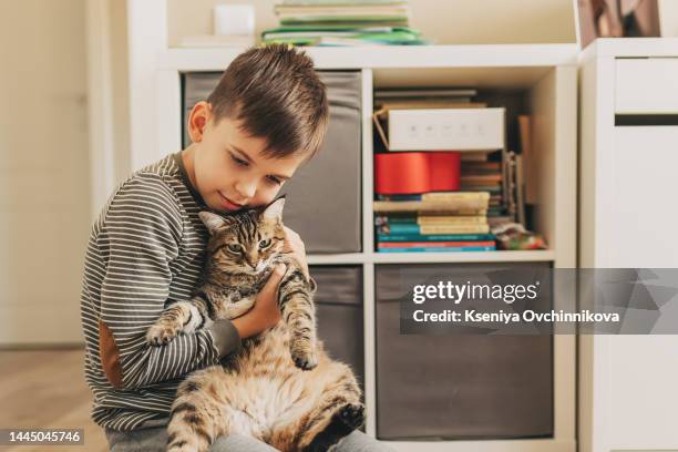 a fair-haired boy in summer in a white linen shirt walks in the fresh air in the field with his favorite pet, a gray-striped cat - fair haired boy stock-fotos und bilder