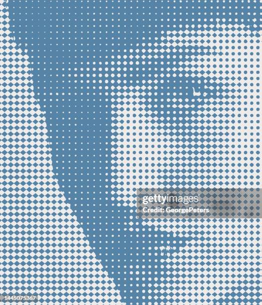 colorful half tone dot portrait of beautiful female face - androgyn stock illustrations