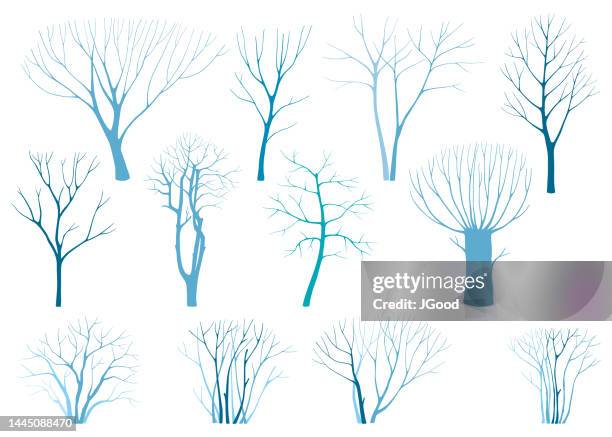 stockillustraties, clipart, cartoons en iconen met set of winter trees - kale boom