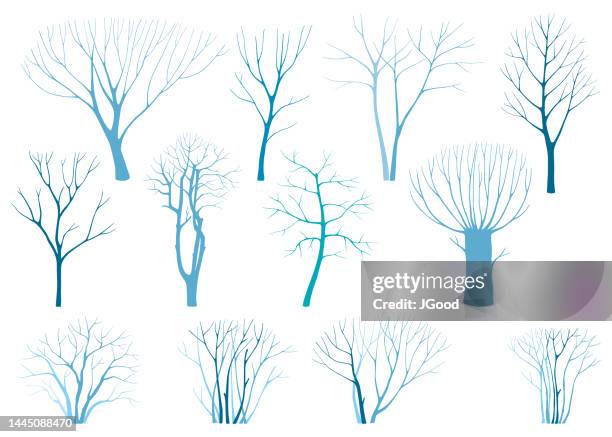 bildbanksillustrationer, clip art samt tecknat material och ikoner med set of winter trees - tree trunk