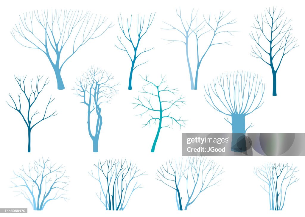 Set of winter trees