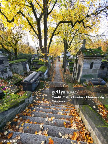 view of pere lachaise cemetery in autumn in paris - pere lachaise cemetery stock pictures, royalty-free photos & images