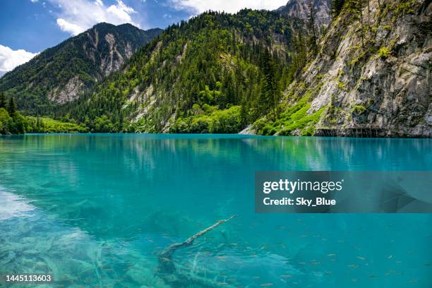 lake scenery in jiuzhaigou valley - jiuzhaigou imagens e fotografias de stock