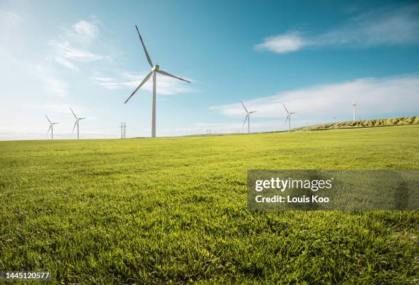 grass and wind power - pureté photos et images de collection
