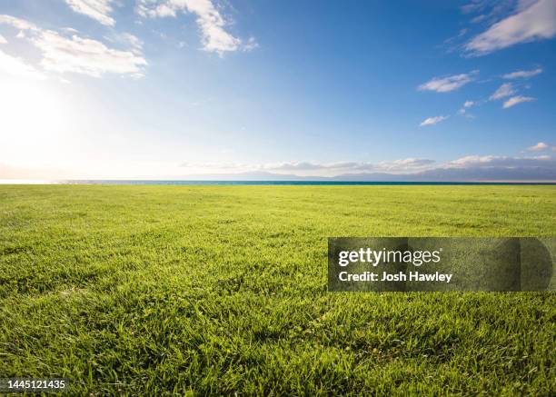 outdoor grass - landscape field stock-fotos und bilder