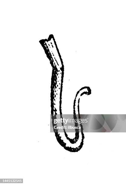 antique engraving illustration: hook - knitting needles stock illustrations