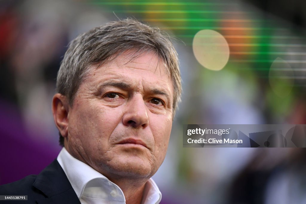 Cameroon v Serbia: Group G - FIFA World Cup Qatar 2022