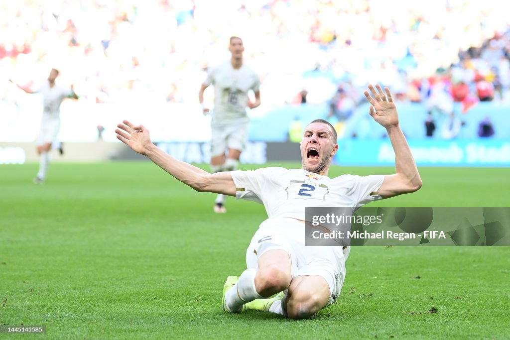 Cameroon v Serbia: Group G - FIFA World Cup Qatar 2022