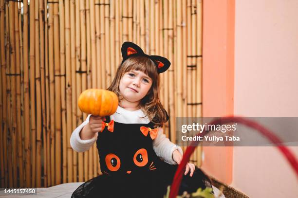 little witch with a pumpkin in a home terrace. - cat costume stock pictures, royalty-free photos & images