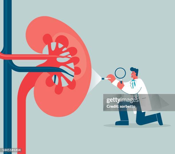 kidney organ - inflammation stock illustrations