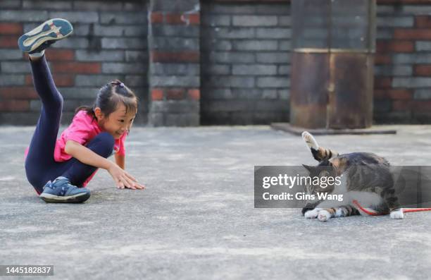 ein mädchen spielt mit einer katze. - biological and identical stock-fotos und bilder