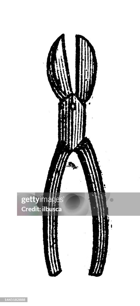 Antique engraving illustration: Forceps