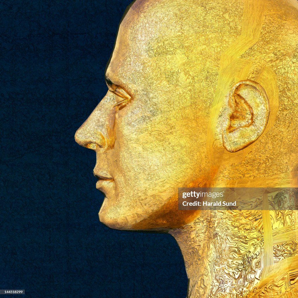 Profile of a golden metallic male head