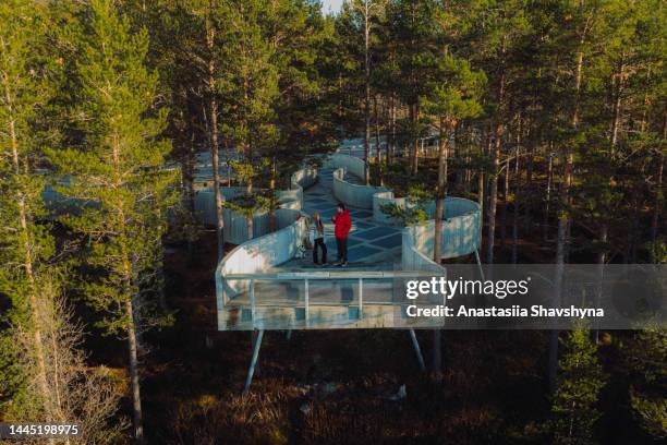 aeroal view of woman and man staying at the viewpoint in the pine forest in rondane national park, norway - drone photography stock pictures, royalty-free photos & images